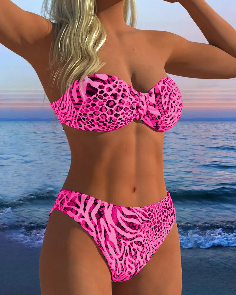 Sexy Leopard Print Two-Piece Swimsuit