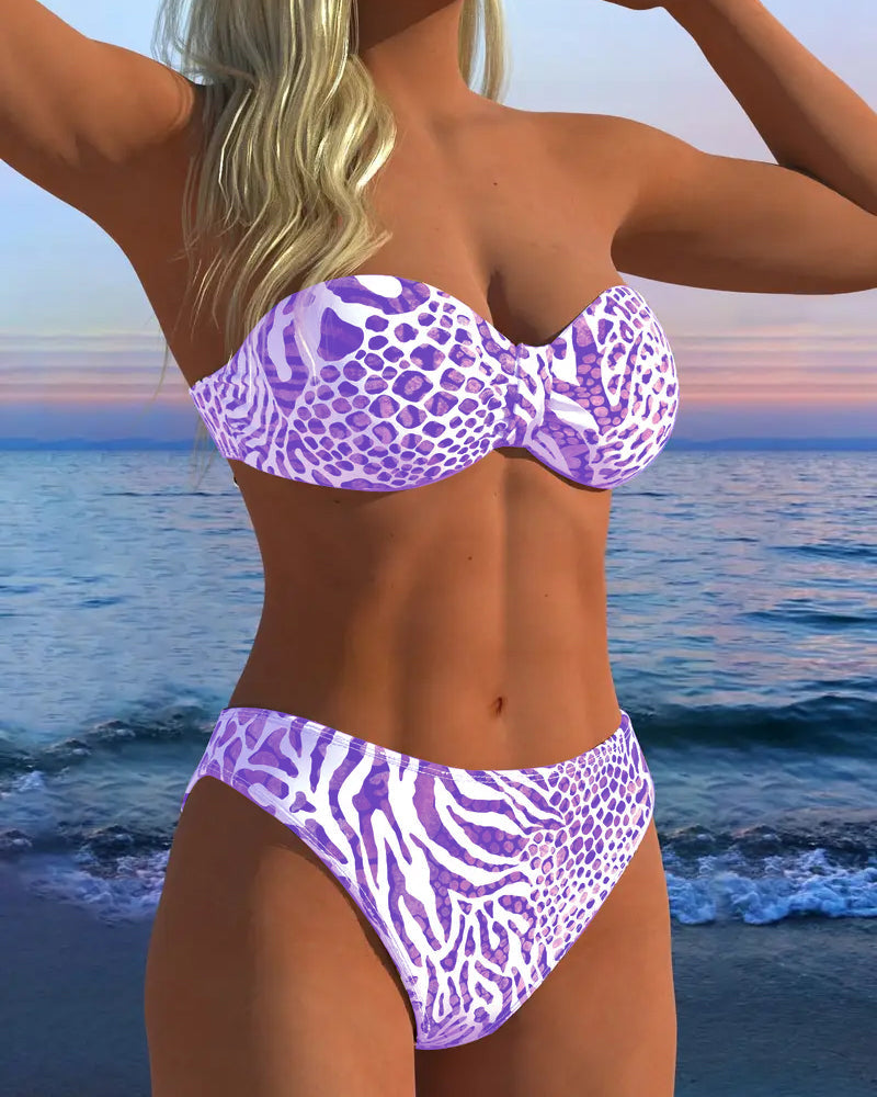 Sexy Leopard Print Two-Piece Swimsuit