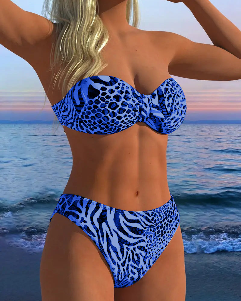 Sexy Leopard Print Two-Piece Swimsuit